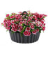 Sunny Hanging Lace Pattern Planter Round Anthracite 10in