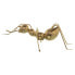 Decorative Figure Alexandra House Living Golden Plastic Ant 22 x 29 x 10 cm