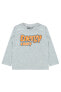 Фото #6 товара Erkek Çocuk Sweatshirt 2-5 Yaş Oranj