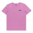 QUIKSILVER Mini Logo short sleeve T-shirt