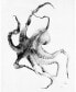 Фото #2 товара Alexis Marcou Octopus Museum Mounted Canvas 16" x 20"