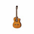 Фото #1 товара Takamine GC5CE-2 Natural B-Stock