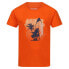 ფოტო #3 პროდუქტის REGATTA Bosley VI short sleeve T-shirt