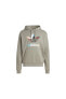 Фото #1 товара Толстовка мужская Adidas Alfe Ts Hoodie IC5730 Хаки