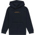 Фото #2 товара ELEMENT Bubble Icon hoodie