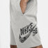 Фото #5 товара Nike SB Sunday 滑板短裤 男款 苍野灰 送礼推荐 / Шорты Nike SB Sunday CK5120-063