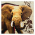 Фото #3 товара Bild auf leinwand Elefant Tier Natur