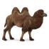Фото #1 товара Фигурка Collecta Collected Camel Bactarian Figure Camels (Верблюды)
