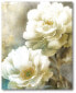 Фото #1 товара Soft Spring II Gallery-Wrapped Canvas Wall Art - 16" x 20"