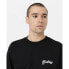 Фото #5 товара DICKIES Dighton long sleeve T-shirt