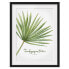 Фото #1 товара Bild Aquarell Botanik Trachycarpus I