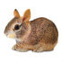 Фото #1 товара SAFARI LTD Eastern Cottontail Rabbit Baby Figure
