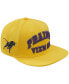 Фото #1 товара Men's Gold Prairie View A&M Panthers Evergreen Prairie View Snapback Hat