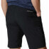 Фото #5 товара COLUMBIA Outdoor Elements™ 5 Pkt Shorts