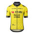 Фото #1 товара AGU Replica Visma | Lease a Bike 2024 Short Sleeve Jersey