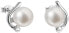 Silver earrings pearls with genuine pearls Pavon 21038.1