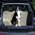 Trixie Pokrywa bagażnika samochodu 1.80 × 1.30 m beżowa
