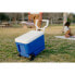 Фото #7 товара Сумка-холодильник с колесами IGLOO COOLERS 38 36 литровой "Wheelie Cool"