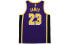 Фото #2 товара Майка баскетбольная Jordan NBA SW 23 Limited Edition Lakers James 23 Purple