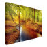 Leinwandbild Herbstwald I