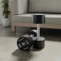 Фото #5 товара BODYTONE 35kg Dumbbells 2 Units