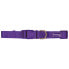 Фото #1 товара FREEDOG Nylon Basic Collar