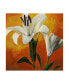 Фото #1 товара Pablo Esteban White Flower Over Orange Light 1 Canvas Art - 36.5" x 48"