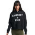 Фото #1 товара SUPERDRY Code Core Sport Crop Box hoodie