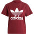 Фото #3 товара ADIDAS ORIGINALS Adicolor Classics Trefoil short sleeve T-shirt