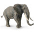 Фото #1 товара COLLECTA African Elephant Of Bush Xl