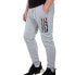 Фото #2 товара ALPHA INDUSTRIES Block-Logo joggers