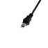 StarTech.com 1 ft Mini USB 2.0 Cable - USB A to Mini B F/M - 0.3 m - USB A - Mini-USB B - Male/Female - 480 Mbit/s - Black