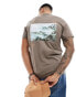 ASOS DESIGN t-shirt in brown with scenic back print