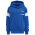 Фото #1 товара HUMMEL Optimism hoodie