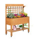 Фото #1 товара Outdoor Wooden Elevated Plant Bed w/ Shelves for Tool Storage & Wheels