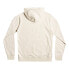 Фото #4 товара QUIKSILVER In Circles hoodie