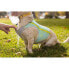 ფოტო #11 პროდუქტის RUFFWEAR Swamp Cooler Zip™ Dog Jacket