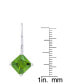 ფოტო #8 პროდუქტის Simulated Gemstone Square Lever Back Silver Plate Earrings