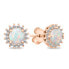 Beautiful Bronze Jewelry Set with Opals SET231R (Earrings, Pendant)