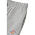 Фото #4 товара DICKIES Mapleton Joggers