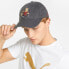 [023764-01] Mens PUMA HOMETOWN HEROES VINTAGE DAD CAP