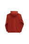 Classic Po Hoodie Ii Erkek Günlük Sweatshirts Vn0a456bsq61 Kırmızı