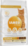 Фото #1 товара IAMS IAMS-Sucha karma for Vitality Hairball dla dorosłych i starszych kotów, z kurczakiem 10kg