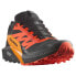 SALOMON Sense Ride 5 Goretex trail running shoes