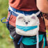 Фото #4 товара Мешок для магнезии YY Vertical Самоедский собака Chalk Bag