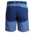 Фото #2 товара NEWWOOD Zurich shorts