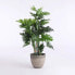 Фото #7 товара Искусственные цветы MICA Decorations Philodendron 120 см Гибридный