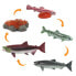 Фото #1 товара Фигурка Safari Ltd Цикл Жизни Лосося Life Cycle Salmon (Цикл Жизни Лосося)