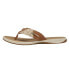 Sperry Parrotfish Flip Flops Womens Brown Casual Sandals STS82816