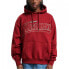 Фото #3 товара Karl Kani Trekking Os Hoodie M 6021747